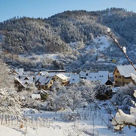 Waldhaus - Winter Boardinghaus